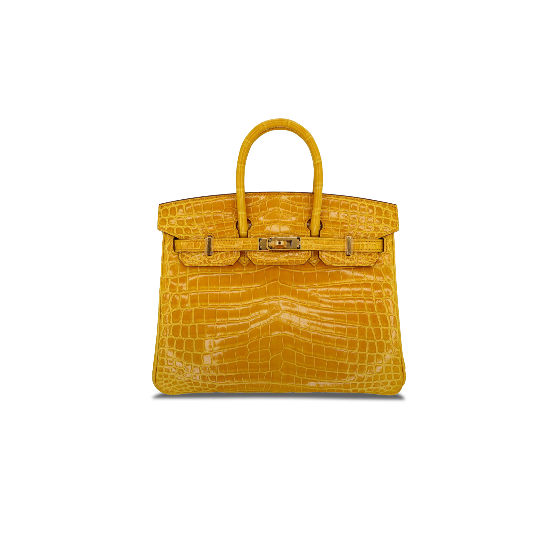 HERMÈS MASTER BIRKIN 25 CROCODILE LEATHER YELLOW GOLD BUCKLE H041354CK09 (25*20*13cm)